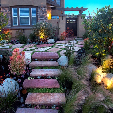 Sustainable Landscaping Photo